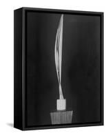 "Bird in Space," a Bronze Sculpture by Constantin Brancusi-null-Framed Stretched Canvas