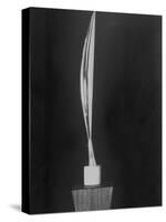 "Bird in Space," a Bronze Sculpture by Constantin Brancusi-null-Stretched Canvas