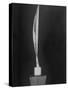 "Bird in Space," a Bronze Sculpture by Constantin Brancusi-null-Stretched Canvas