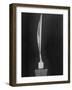 "Bird in Space," a Bronze Sculpture by Constantin Brancusi-null-Framed Photographic Print