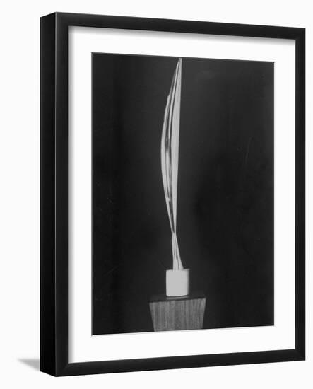 "Bird in Space," a Bronze Sculpture by Constantin Brancusi-null-Framed Photographic Print