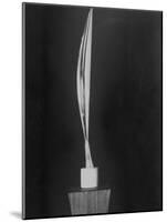 "Bird in Space," a Bronze Sculpture by Constantin Brancusi-null-Mounted Photographic Print
