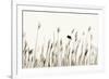 Bird in the Grass 1-Alan Hausenflock-Framed Photographic Print