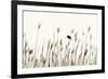 Bird in the Grass 1-Alan Hausenflock-Framed Photographic Print