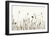 Bird in the Grass 1-Alan Hausenflock-Framed Photographic Print