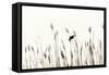 Bird in the Grass 2-Alan Hausenflock-Framed Stretched Canvas