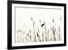 Bird in the Grass 2-Alan Hausenflock-Framed Photographic Print