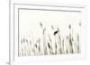 Bird in the Grass 2-Alan Hausenflock-Framed Photographic Print