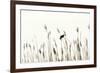 Bird in the Grass 2-Alan Hausenflock-Framed Photographic Print