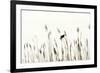 Bird in the Grass 2-Alan Hausenflock-Framed Photographic Print