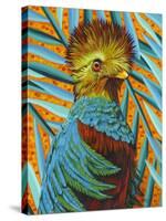 Bird in the Tropics I-Carolee Vitaletti-Stretched Canvas