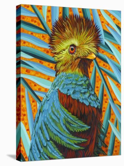 Bird in the Tropics I-Carolee Vitaletti-Stretched Canvas