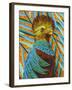 Bird in the Tropics I-Carolee Vitaletti-Framed Art Print