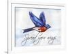 Bird Inspiration I-Irina Trzaskos Studio-Framed Giclee Print