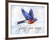 Bird Inspiration I-Irina Trzaskos Studio-Framed Giclee Print