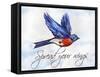 Bird Inspiration I-Irina Trzaskos Studio-Framed Stretched Canvas