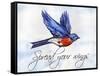 Bird Inspiration I-Irina Trzaskos Studio-Framed Stretched Canvas