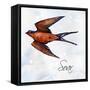 Bird Inspiration II-Irina Trzaskos Studio-Framed Stretched Canvas