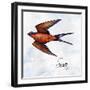 Bird Inspiration II-Irina Trzaskos Studio-Framed Giclee Print