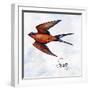 Bird Inspiration II-Irina Trzaskos Studio-Framed Giclee Print