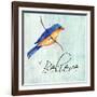 Bird Inspiration III-Irina Trzaskos Studio-Framed Giclee Print