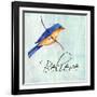 Bird Inspiration III-Irina Trzaskos Studio-Framed Giclee Print