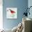 Bird Inspiration V-Irina Trzaskos Studio-Giclee Print displayed on a wall