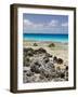 Bird Island, Tikehau, Tuamotu Archipelago, French Polynesia Islands-Sergio Pitamitz-Framed Photographic Print