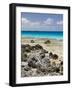 Bird Island, Tikehau, Tuamotu Archipelago, French Polynesia Islands-Sergio Pitamitz-Framed Photographic Print