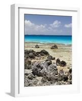 Bird Island, Tikehau, Tuamotu Archipelago, French Polynesia Islands-Sergio Pitamitz-Framed Photographic Print