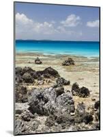 Bird Island, Tikehau, Tuamotu Archipelago, French Polynesia Islands-Sergio Pitamitz-Mounted Photographic Print