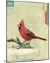 Bird IV-Kareem Rizk-Mounted Giclee Print