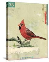 Bird IV-Kareem Rizk-Stretched Canvas