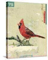 Bird IV-Kareem Rizk-Stretched Canvas