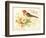 Bird Joy-Gwendolyn Babbitt-Framed Art Print