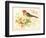 Bird Joy-Gwendolyn Babbitt-Framed Art Print