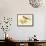 Bird Joy-Gwendolyn Babbitt-Framed Stretched Canvas displayed on a wall