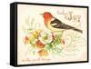 Bird Joy-Gwendolyn Babbitt-Framed Stretched Canvas