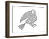 Bird Kakatua-Neeti Goswami-Framed Art Print