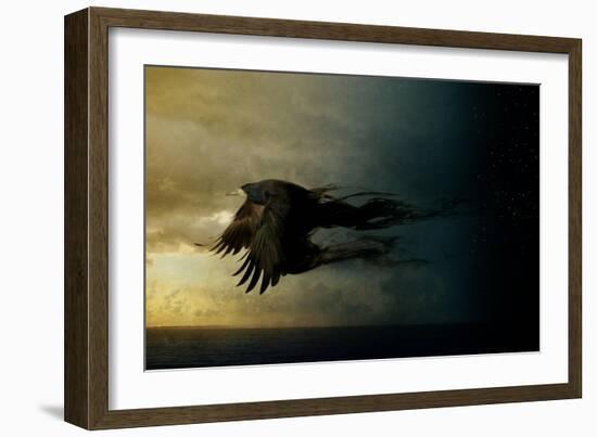 Bird Kingdom 2-Johan Lilja-Framed Giclee Print