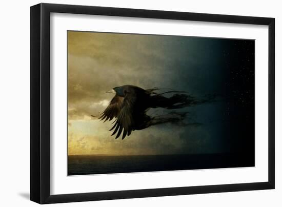 Bird Kingdom 2-Johan Lilja-Framed Giclee Print