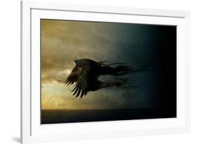 Bird Kingdom 2-Johan Lilja-Framed Giclee Print