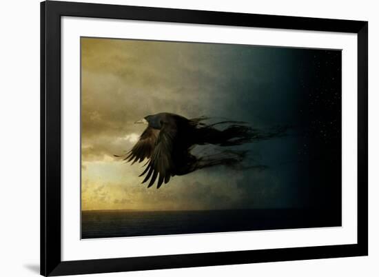 Bird Kingdom 2-Johan Lilja-Framed Giclee Print