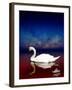 Bird Kingdom 4-Johan Lilja-Framed Giclee Print