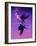 Bird Kingdom 5-Johan Lilja-Framed Giclee Print