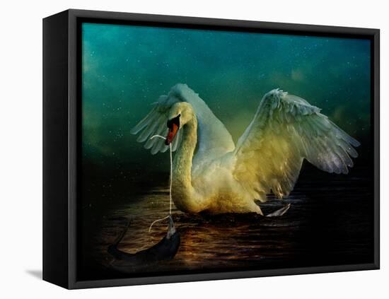 Bird Kingdom 6-Johan Lilja-Framed Stretched Canvas