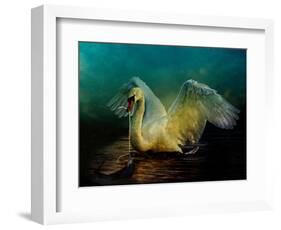Bird Kingdom 6-Johan Lilja-Framed Giclee Print