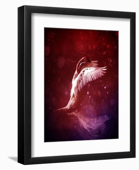 Bird Kingdom 7-Johan Lilja-Framed Giclee Print