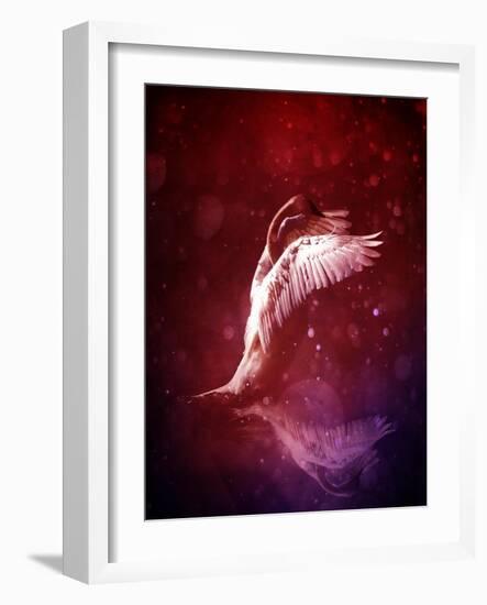 Bird Kingdom 7-Johan Lilja-Framed Giclee Print