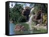 Bird Lagoon, Metrozoo, Miami, FL-Mark Gibson-Framed Stretched Canvas